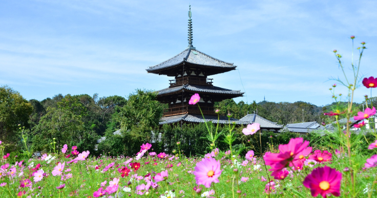 時の流れを感じながら訪れたい「神社、寺院、教会」